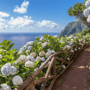 Sao-miguel-azoren-hawaii-europas