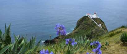 Spektakuläre Ausblicke auf den legendären Leuchtturm auf Santa Maria erwarten Sie im Azoren Wanderurlaub