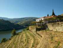 Quinta de la Rosa-Blick auf die Hotelanlage am Hang von Douro