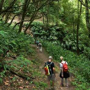 Azoren-singlereisen-wandern