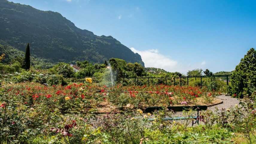 Quinta-arco-garden