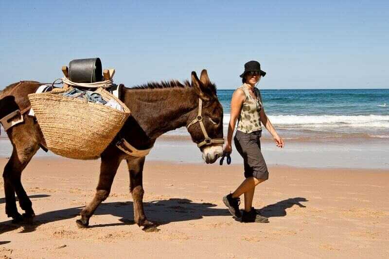 Mit einem Esel an der Algarve wandern