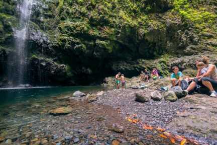 Beliebtes Wanderziel auf Madeira: Der grüne Kessel Caldeirao Verde