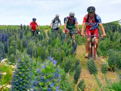 Abwechslungsreiche Trails und Levadas laden ein zum Mountainbiken auf Madeira