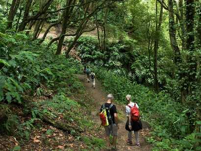 Azoren-singlereisen-wandern