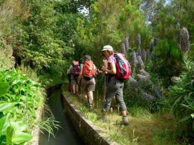 3 Madeira Tageswanderungen