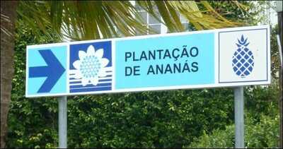 Ananasplantage auf Sao Miguel