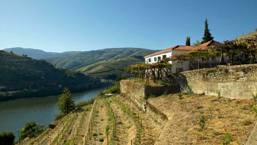 Quinta de la Rosa Casa Amarela