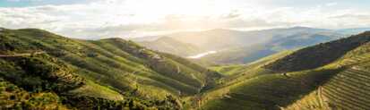 Landschaftliches Highlight in Nordportugal - das Dourotal