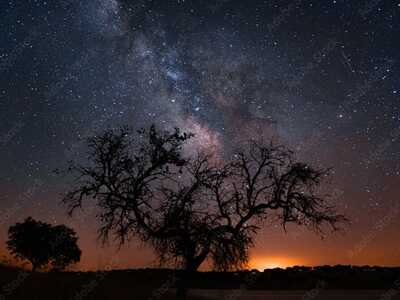 Sternebeobachtung im Dark Sky Alqueva