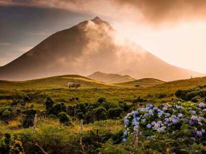 Azoren-insel-pico