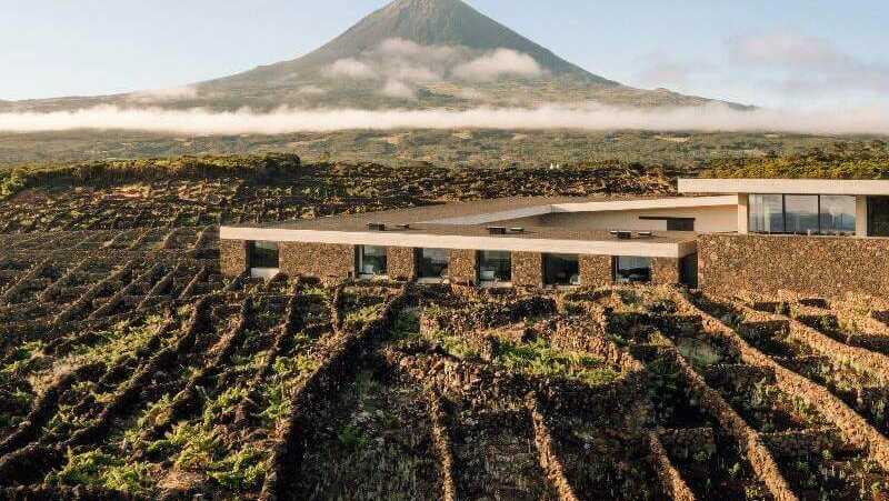 Azores-wine-company-aussen