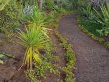 Spaziergang durch den Garten des Albatroz Beach Club auf Madeira