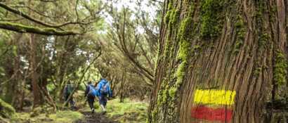 Sao Miguel wandern