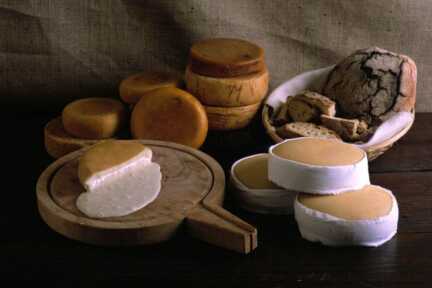Käse von der Azoren-Insel Sao Jorge