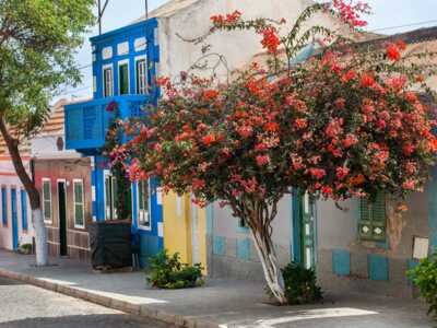 Ganztägige Inseltour Boa Vista