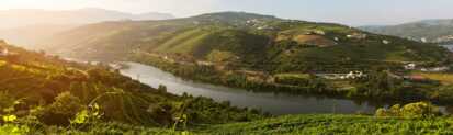 Douro-tal-norden-portugal