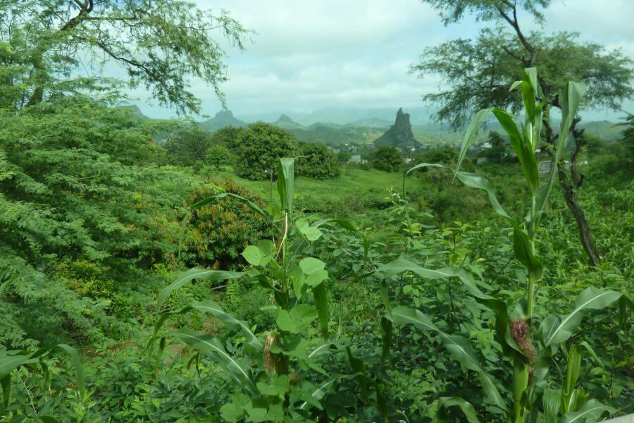 Inmitten eines grünen Tals auf der Kapverden-Insel Santiago