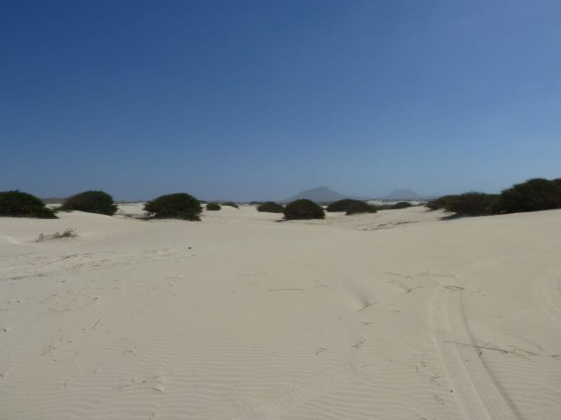Die "Mini-Sahara" auf Boa Vista