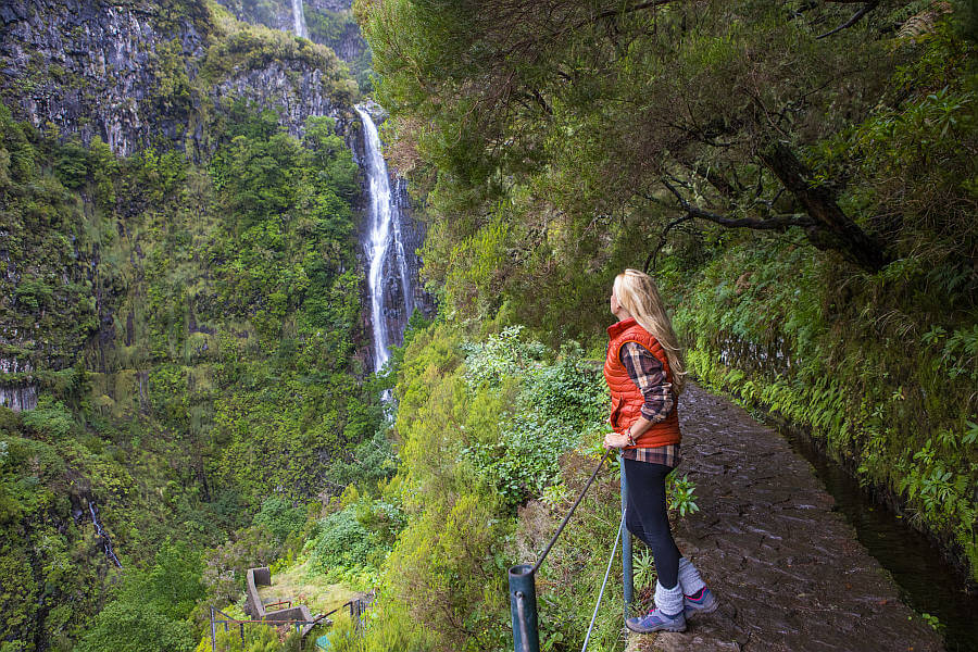 Der Madeira Lorbeerwald zählt zum UNESCO Weltnaturerbe