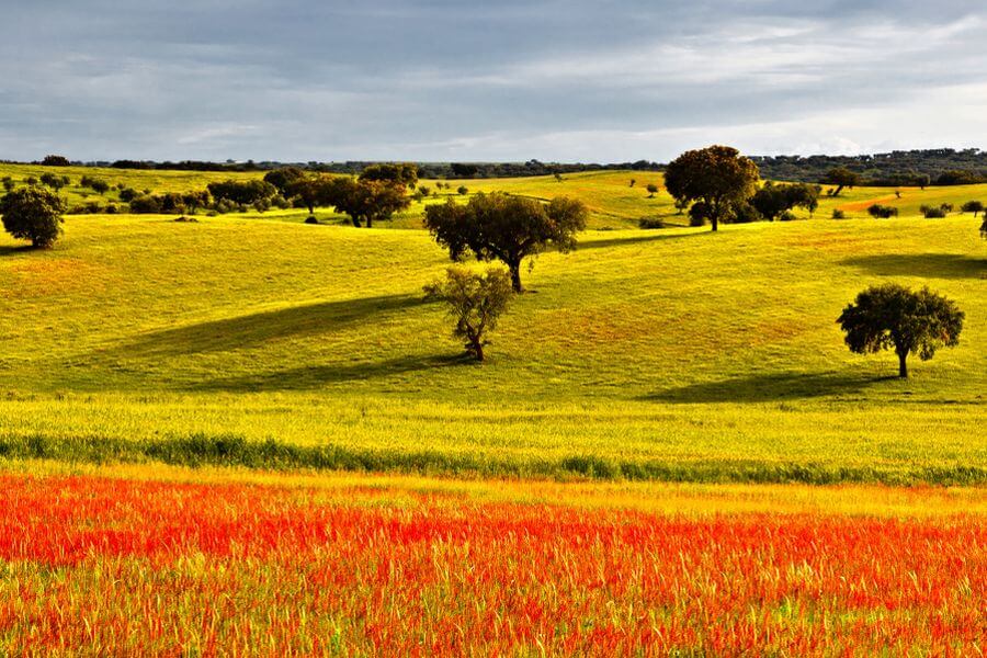 Landschaft des Alentejo in Portugal