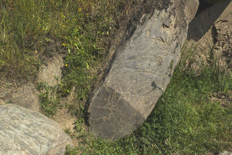Petroglyph im Tal Vale Coa