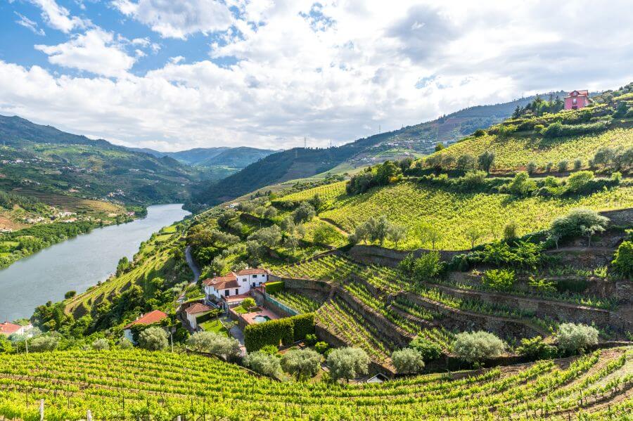 Landschaft im Douro-Tal in Portugal